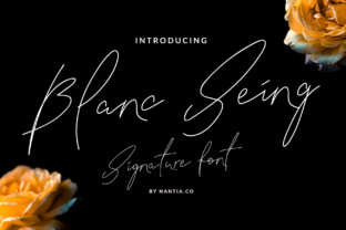 Blanc Seing: A Handwritten Signature Typeface for Modern Brand Identity