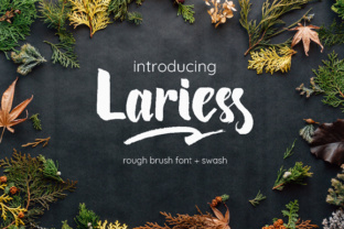 Lariess: A Designer's Honest Review for Real Projects