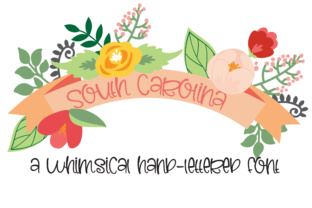 PN South Carolina: A Whimsical Typeface for Modern Editorial Design