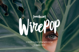 Wirepop: The Modern Script Typeface for Editorial Design